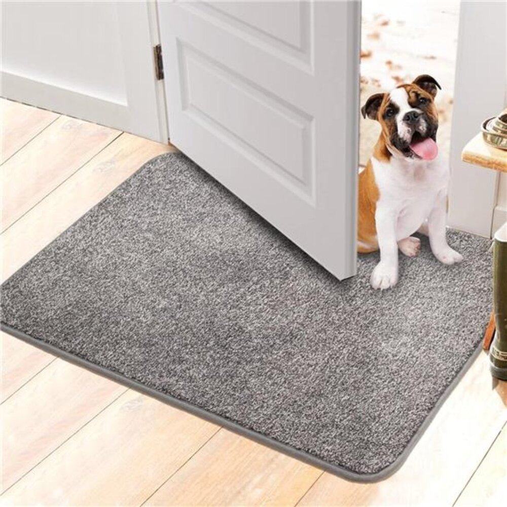 Indoor Doormat,Front Door Mat for Entrance (20"x32" Light Grey) Machine Washable